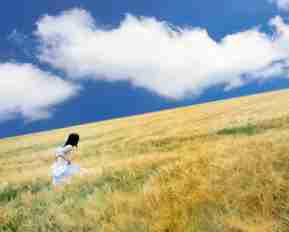 脚‍本﻿和‍分​镜‌头‌脚‌本‌一‍样﻿吗‌